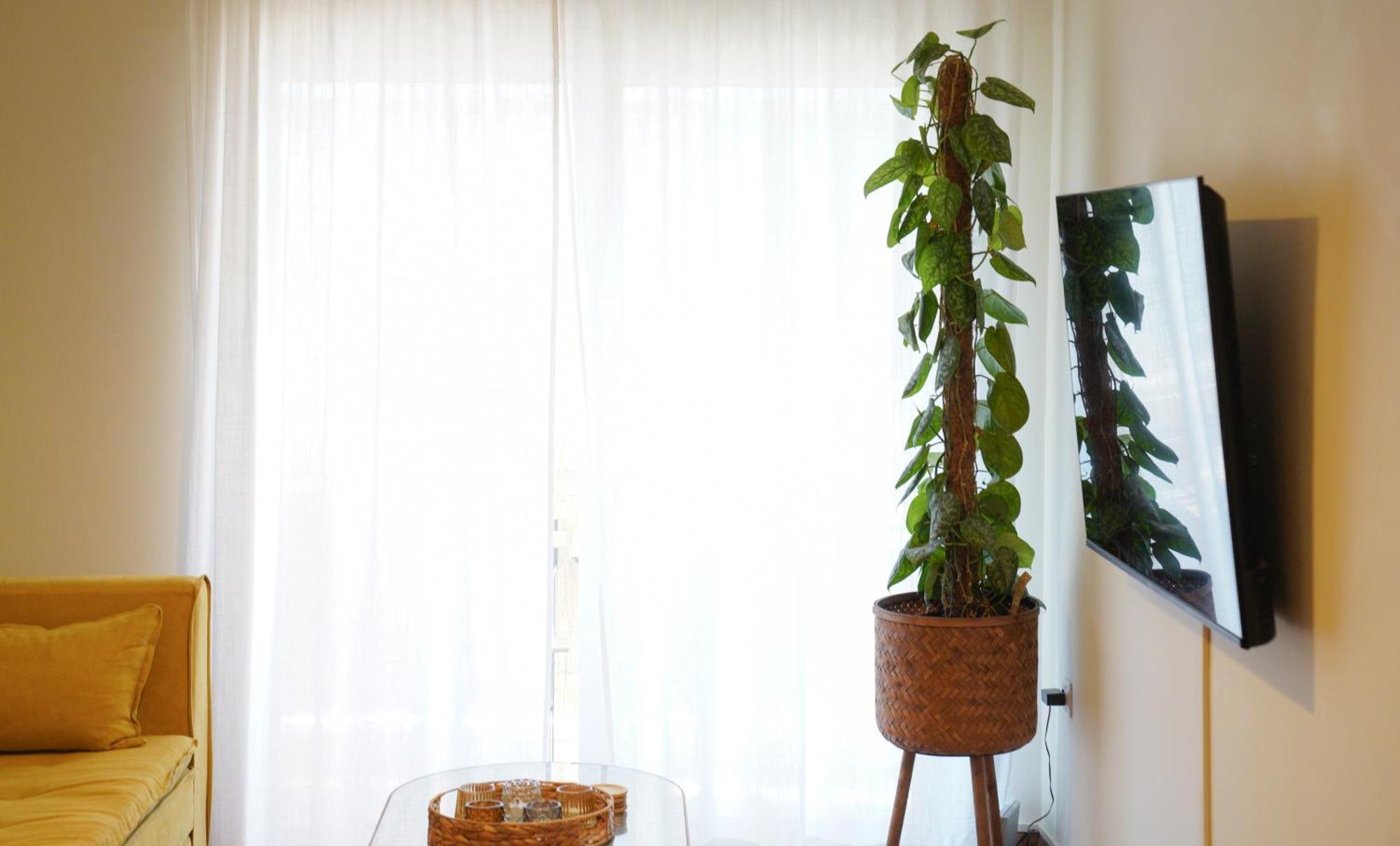 Bright Athens Studio Buitenkant foto